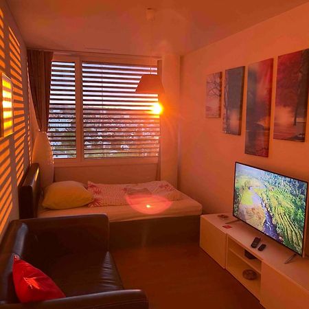 Private Room - Amazing Lake View Rorschach Esterno foto